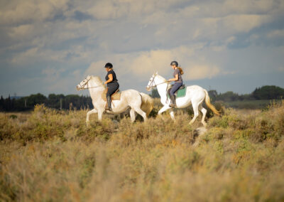 Les anciennes salines
